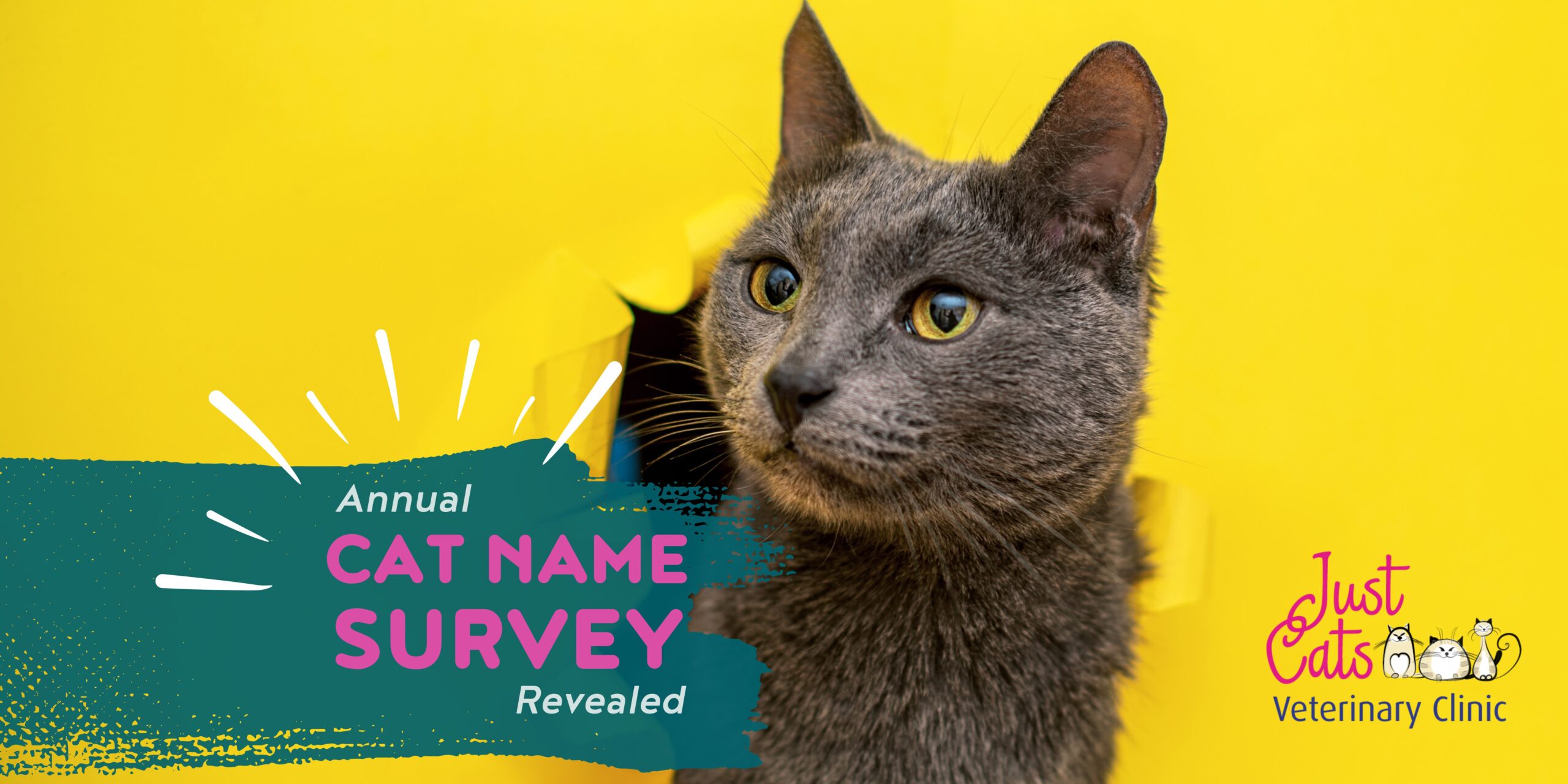 cat name survey