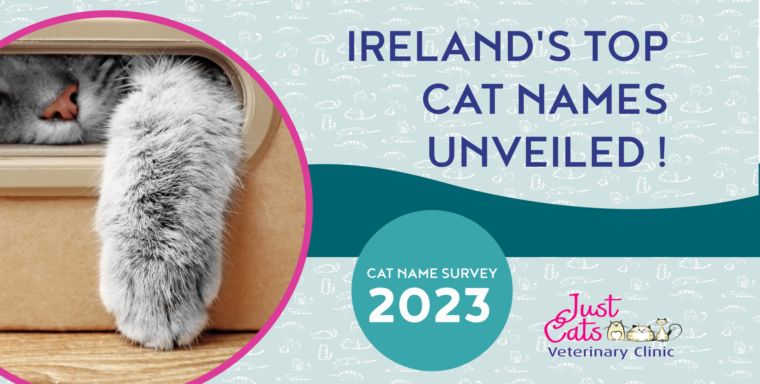 cat name survey 2023